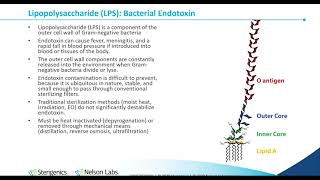 Bacterial Endotoxin Testing History InhibitionEnhancement and Process Control [upl. by Assirk]