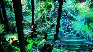 Life of a Neuron  Artechouse NYC  An Impressive amp Immersive Art Installation [upl. by Anirtac]