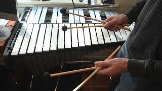 The Vibraphone Explained  and Why I Have One Now [upl. by Atsirt560]