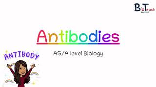 Antibodies Structure and function ASA level Biology  BioTeach [upl. by Enelear]