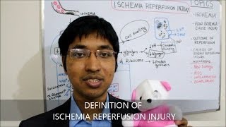 Ischemia Reperfusion Injury HD [upl. by Anerrol628]