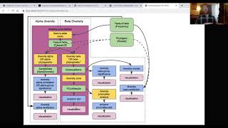 PD Mice Core metrics phylogenetic tutorial [upl. by Ikuy]