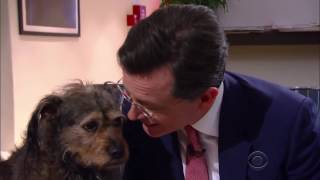 Stephen Colbert Kiss compilation [upl. by Holder965]