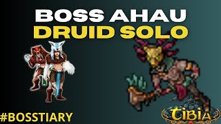 BOSS AHAU SOLO É FACIL DEMAIS COMO FAZER DE DRUID [upl. by Aryad904]