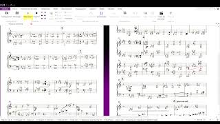 Jolivet Flute concerto  1º movement playalong [upl. by Seka]