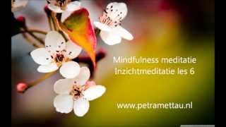 Mindfulness meditatie  Inzichtmeditatie [upl. by Oria]