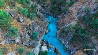 Gelye Sherana  Kurdistan [upl. by Ailev]