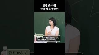 같은 듯 다른 한국어 amp 일본어 사유리 일본어 한국어 [upl. by Rebak]