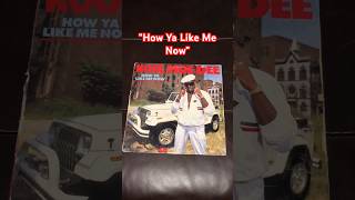 “Wild Wild West” by Kool Moe Dee from the album “How Ya Like Me Now” koolmoedee vinyl hiphop [upl. by Yssej137]