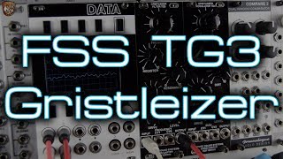 Future Sound Systems Gristleizer  TG3 Filter  Chris Carter Roy Gwinn and Finlay Shakespeare [upl. by Anele]