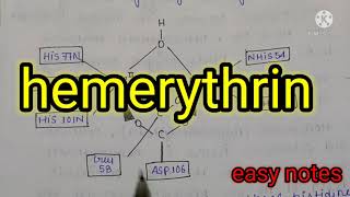 Hemerythrin Bioinorganic chemistry MSc chemistry notes  hand made notes [upl. by Jethro]