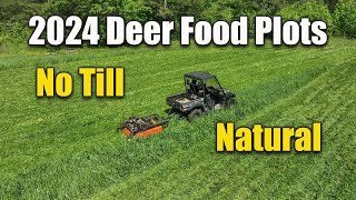 Deer Food Plots  Natural No Till  Cut Them Often [upl. by Jaworski]