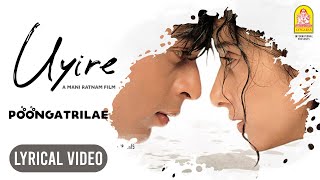 Uyire  Poongatrilae  Lyric Video  Shah Rukh Khan  Manisha Koirala  AR Rahman  Ayngaran [upl. by Eikcaj41]