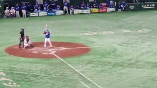 230520 Yomiuri Giants vs Chunichi Dragons in Tokyo Dome [upl. by Betthezel222]