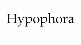 How to Pronounce Hypophora [upl. by Downall515]