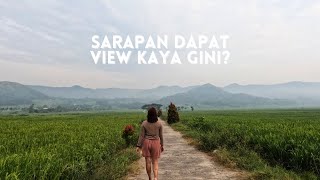 DAILY VLOG  Liburan ke Jogja Wajib ke sini Rekomendasi Spot View Sarapan Terbaik di Jogja [upl. by Nerehs]