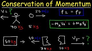 Conservation of Momentum Physics Problems  Basic Introduction [upl. by Aenit441]