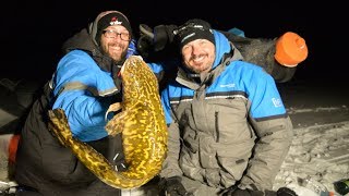 Ice Fishing GIANT Eelpout in Minnesota  How to Catch [upl. by Sedgewake291]