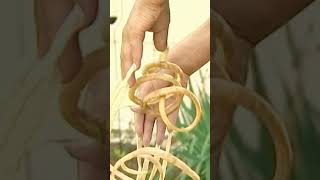 Worlds Longest Fingernails shorts [upl. by Kcirad]