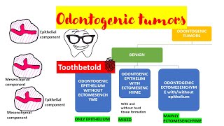 Odontogenic tumors  Overview  Classification [upl. by Arehc]