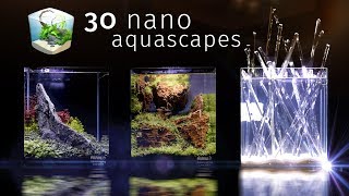 Thirty Of the Best Nano Aquascapes In America — Aquatic Experience 2017 [upl. by Benedetto166]