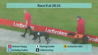 Crayford Greyhounds Races on 4th June 2024 [upl. by Ykcaj]