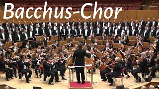 BacchusChor from quotAntigonequot by Felix Mendelssohn Bartholdy  Mens Chorus MVC Male Voice Choir [upl. by Einnal]