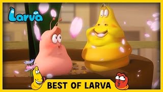 LARVA  BEST OF LARVA  Cartoons  Comics  LARVA 2017 WEEK 14 [upl. by Akenn]