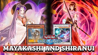 MAYAKASHI AND SHIRANUI DUEL LINKS DECK DEC2023 RANKED DUEL  DECKLIST YU GI OH DUEL LINKS [upl. by Nodroj]