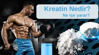 Kreatin nedir Nasıl kullanılır Faydaları ve zararları nelerdir  Bilimsel Araştırma  fitness [upl. by Atwahs]