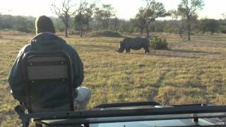 Rhino Charge [upl. by Adila471]