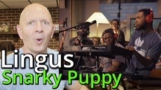 Band Teacher Reacts to Snarky Puppy Lingus [upl. by Zavala]