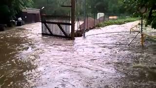 Hochwasser Göltzsch Lengenfeld [upl. by Aynodal]