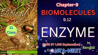 Enzyme biomoleculesncertbiologyclass11 [upl. by Meer861]