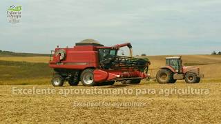 Fazenda a venda no RS com 2500 ha  Farm for Sale in Brazil with 6100 acres [upl. by Pascal]