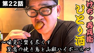 【ひとり呑み】大阪・裏なんばで史上最強の焼き鳥と親子丼で酒を呑む。 [upl. by Gastineau703]