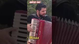 Os Gaiteiros de Minas Vinícius Dias tocando sucessos music sanfoneiro voninho sanfoneiros [upl. by Ahsimit830]