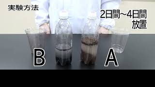 教員用  中学生物分野 実験動画「土の中の微生物のはたらき」実験方法編 [upl. by Araid]