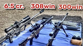 65 creedmoor 308 win 300 win mag На дистанциях 3005001000м [upl. by Risay531]