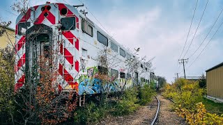 Abandoned Chicago Train METRA  16 Train Cars [upl. by Kcinomod76]