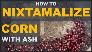 How to Nixtamalize Corn with Ash Simple Country Cooking StepbyStep [upl. by Paterson]