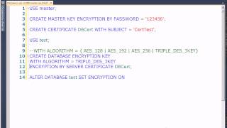 MS SQL 2012 Шифрование базы данных [upl. by Leunad]