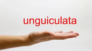 How to Pronounce unguiculata  American English [upl. by Neelyam]