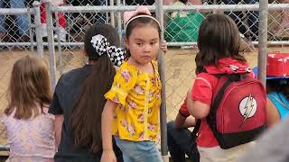 Armadillo Races at the Swamp Cabbage Festival in Labelle FL 2024 [upl. by Ybrek]