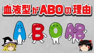 【ゆっくり解説】なぜ血液型はABCでなくABOなのか  血液型の発見と輸血の歴史｜科学・免疫学 [upl. by Bently]