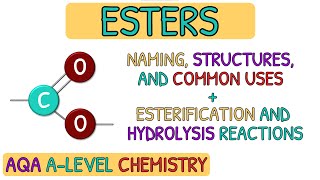 Carboxylic Acids and Derivatives  Esters｜AQA A Level Chemistry Revision [upl. by Aicined477]