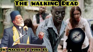 Dr Malachi Z York EL  The Walking Dead [upl. by Henden]