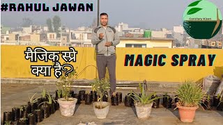 559  Kisan karyashala मैजिक स्प्रे क्या है Rahul Jawan के साथ। free organic spray [upl. by Schroth]