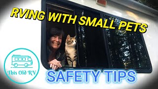 Minimizing the Risks of Travelling with Fur Babies in Your RV [upl. by Eiser]