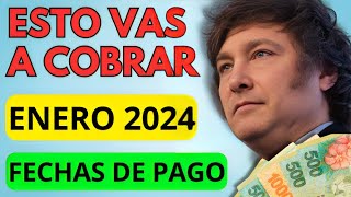 🛑 AHORA❗️BONOS y Fecha de Cobro ENERO 2024 para Jubilados Pensionados PNC PUAM AUH y SUAF ANSES [upl. by Ettegirb]